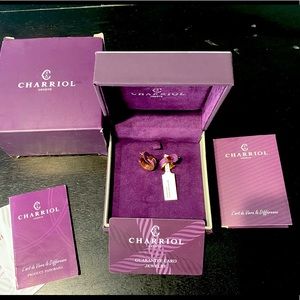 Charroil earrings Brand new with box